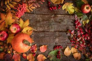 autunno sfondo con telaio di zucca, mele, Rowan e biancospino frutti di bosco e le foglie su albero abbaiare sfondo. foto