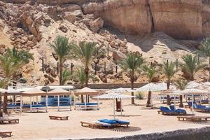 palma alberi e vuoto ponte sedie con ombrello su spiaggia mare foto