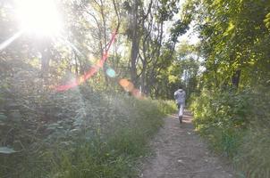 un' giovane tipo nel un' grigio gli sport completo da uomo corre lungo il sentiero tra il foto