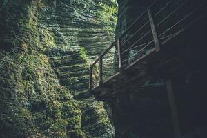 visualizzazioni di schiaffo kozjak nel slovenia foto