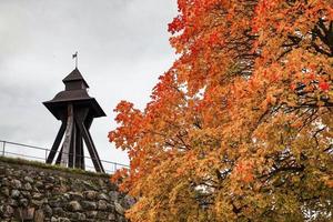 autunno nel uppsala foto