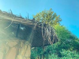 grande cannuccia ombrelli con palma alberi su il spiaggia contro il mare e cielo. foto