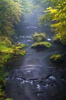 autunno paesaggi nel hrensko, fiume kamenice foto