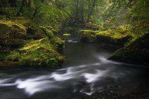 autunno paesaggi nel hrensko, fiume kamenice foto