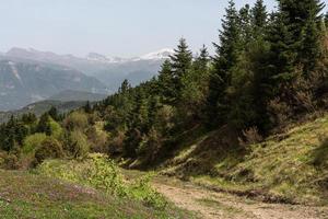 primavera paesaggi a partire dal il montagne di Grecia foto