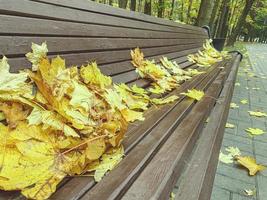 autunno tempo atmosferico. nel il parco Là è un' di legno panchina di Marrone colore, su superiore di esso menzogna giallo autunno le foglie. autunno foresta, paesaggio foto