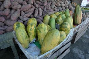 selettivo messa a fuoco su papaia frutta nel plastica cesti venduto nel tradizionale mercati foto