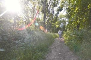 un' giovane tipo nel un' grigio gli sport completo da uomo corre lungo il sentiero tra il foto