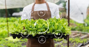 donna mani giardinaggio lattuga nel azienda agricola con crescita processi e chimico formula su verde sfondo. con vr icona foto