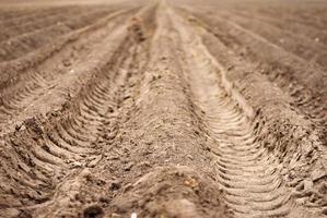 arato campo, solchi nel il terra per semina semi foto