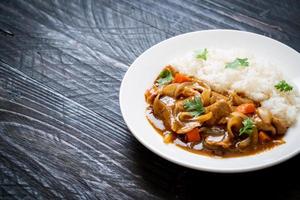 riso giapponese al curry con fettine di maiale, carota e cipolle foto