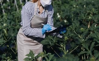 l'uomo d'affari futuristico coltiva ortaggi e colture utilizzando la moderna tecnologia ai utilizzando telefoni cellulari, sensori di temperatura e umidità, tracciamento dell'acqua, controllo del clima, icone di dati olografici. foto