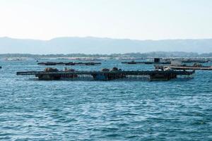 acquacoltura zattere per cozze, batea, nel arousa estuario, Galizia foto