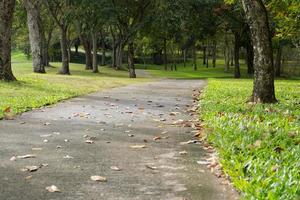 il cemento strada per il golf corso è circondato di alberi, Usato per a piedi e fornire golf carrelli. foto