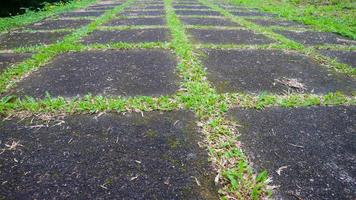 calcestruzzo bloccare viale con verde erba nel fra. come sfondo foto