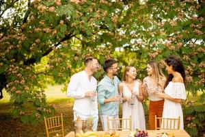 gruppo di contento giovane persone applauso con fresco limonata e mangiare frutta nel il giardino foto