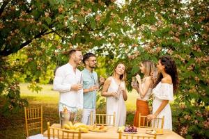 gruppo di contento giovane persone applauso con fresco limonata e mangiare frutta nel il giardino foto