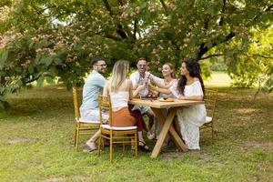 gruppo di contento giovane persone applauso con fresco limonata e mangiare frutta nel il giardino foto