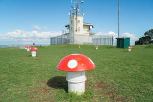 'funghi' su superiore di takarunga o montare Vittoria nel devonport, quale siamo nel fatto prese d'aria per un' acqua pompaggio stazione, nord isola, nuovo zelanda. foto