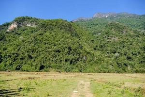 rurale paesaggio nel est Asia foto