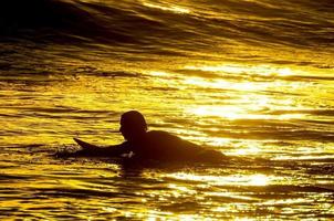surfista di sagoma al tramonto foto