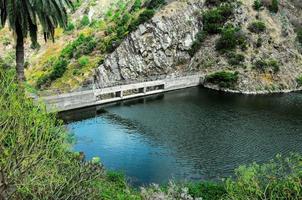 palma e lago verdi delle Canarie tropicali foto