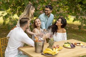 gruppo di contento giovane persone applauso con fresco limonata e mangiare frutta nel il giardino foto