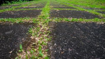 calcestruzzo bloccare viale con verde erba nel fra. come sfondo foto