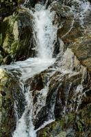 cascata nel il cinque terre la zona nel liguria, Italia foto