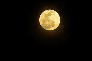 pieno giallo Luna foto