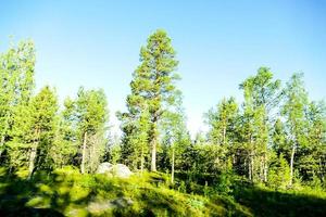 paesaggio nel Svezia, Europa foto