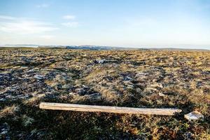 paesaggio nel Svezia, Europa foto