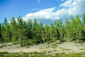 paesaggio nel Svezia, Europa foto