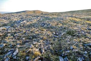 paesaggio nel Svezia, Europa foto