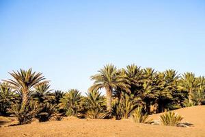 deserto paesaggio nel Marocco foto
