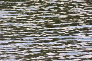 acqua struttura avvicinamento foto