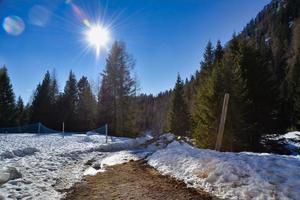 paesaggio invernale innevato foto