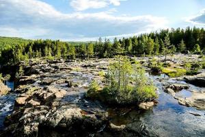 paesaggio nel Svezia, Europa foto