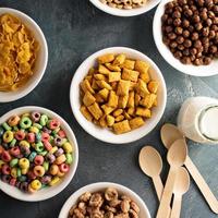 varietà di freddo cereali nel bianca ciotole foto