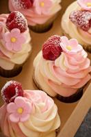 rosa vaniglia e lampone cupcakes foto