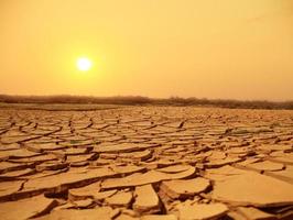 crepa il terreno durante la stagione secca, effetto vermifugo globale foto