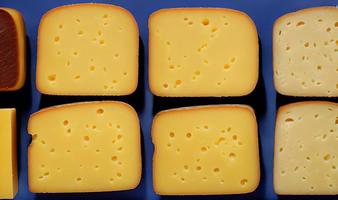 formaggio. diverso delizioso formaggio tipi. selezionato messa a fuoco, nel manifesto formato. foto
