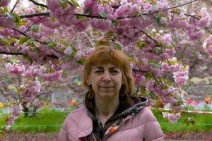 bellissimo anziano donna nel un' rosa giacca su il sfondo di ciliegia fiori. primavera parco nel il Aperto aria. foto