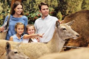 gioioso famiglia nel natura Museo foto