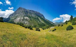 paesaggio di montagna in estate foto