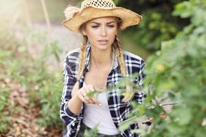 adulto donna raccolta verdure a partire dal giardino foto