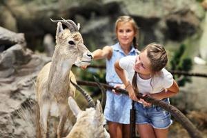 gioioso famiglia nel natura Museo foto