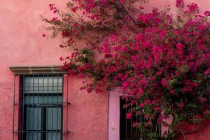 rustico Casa Ingresso con un' bouganville. Queretaro, Messico. foto