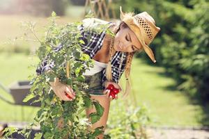 adulto donna raccolta pomodori a partire dal verdura giardino foto