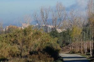 autunno paesaggio con un' villaggio nel il sfondo foto